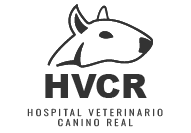 hvcr
